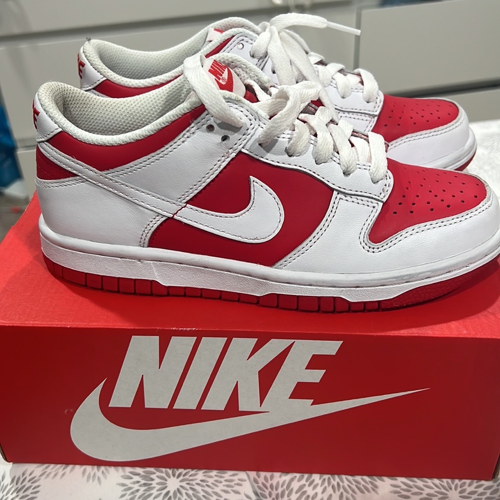 University Red Nike Dunk Low